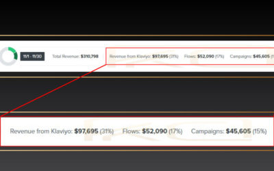 Using BFCM Email Strategies For All Your Future Big Promotional Sales