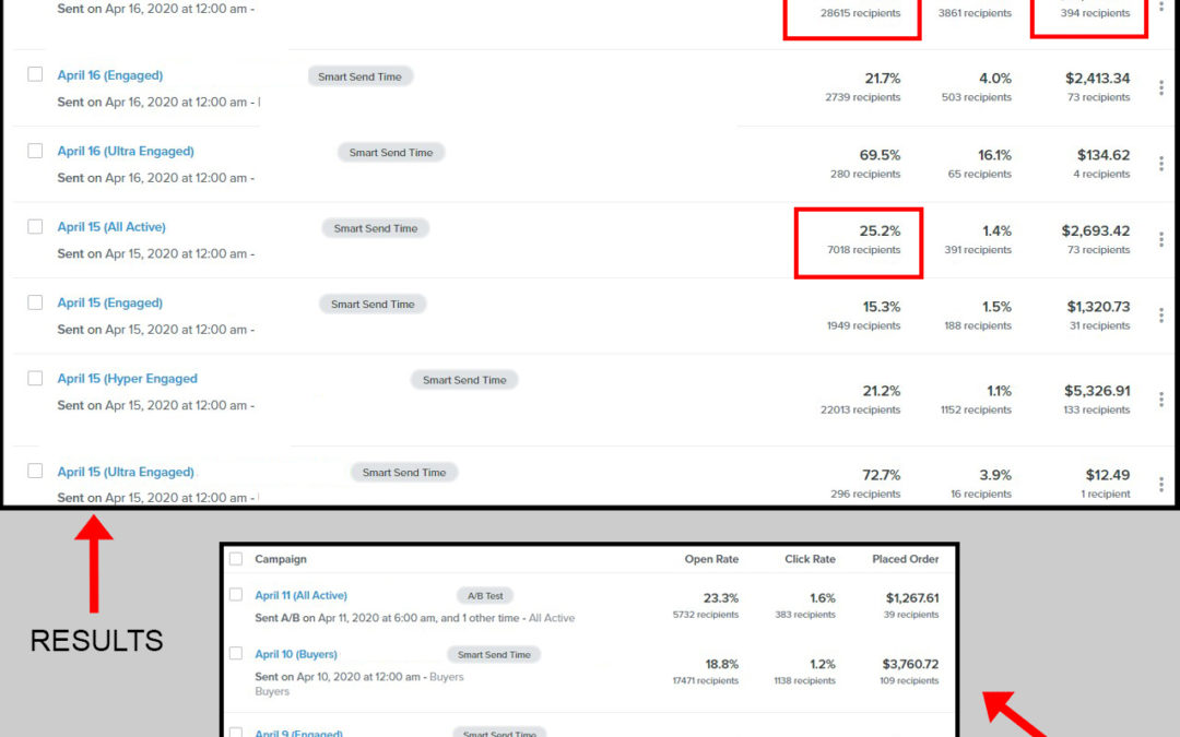 How To Maximize Your Email Marketing Sales With Klaviyo’s Whitelabeling