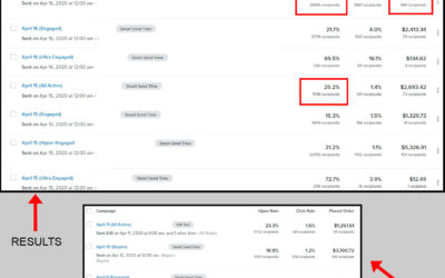 How To Maximize Your Email Marketing Sales With Klaviyo’s Whitelabeling